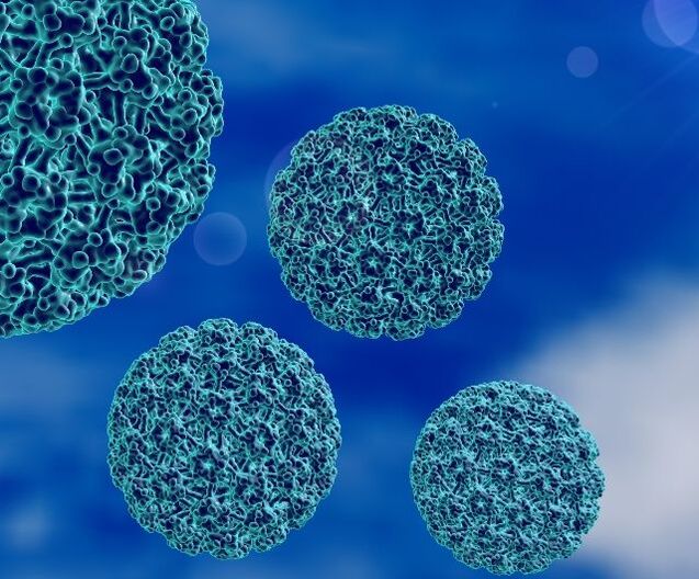 Τρισδιάστατο μοντέλο HPV που προκαλεί κονδυλώματα στη φτέρνα